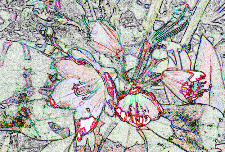 Digital Arts titled "Psychaflora" by Michael Duke, Original Artwork, Digital Painting