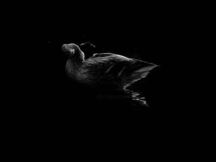 Photography titled "Black And White Duc…" by Michael Lomiya, Original Artwork, Manipulated Photography