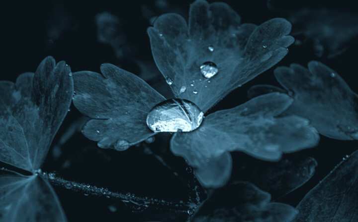 摄影 标题为“A Drop Of Water In…” 由Michael Lomiya, 原创艺术品, 电影摄影