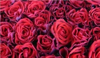 Digital Arts titled "Passionate Kisses" by Michael Easter, Original Art,