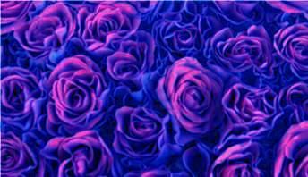 Digital Arts titled "Blue Roses" by Michael Easter, Original Art,