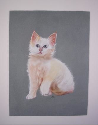 Peinture intitulée "Chat blanc" par Michago, Œuvre d'art originale