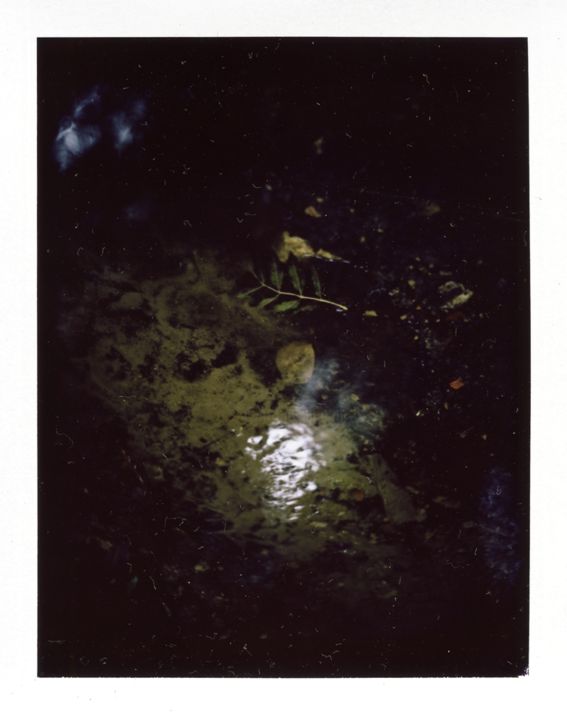 Фотография под названием "Polaroid10" - Michal Vojkuvka, Подлинное произведение искусства, Пленочная фотография