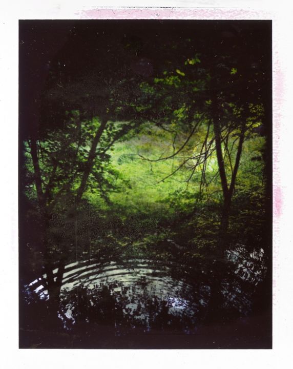 Фотография под названием "Polaroid11" - Michal Vojkuvka, Подлинное произведение искусства, Пленочная фотография