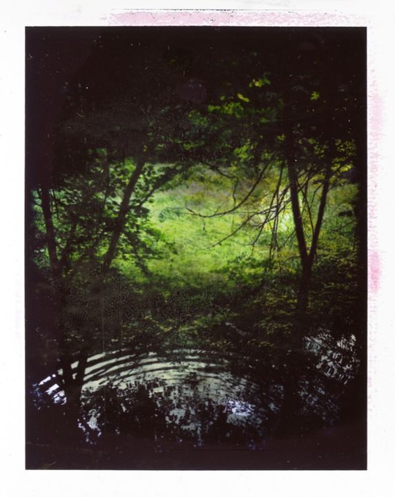 Photographie intitulée "Polaroid11" par Michal Vojkuvka, Œuvre d'art originale, Photographie argentique