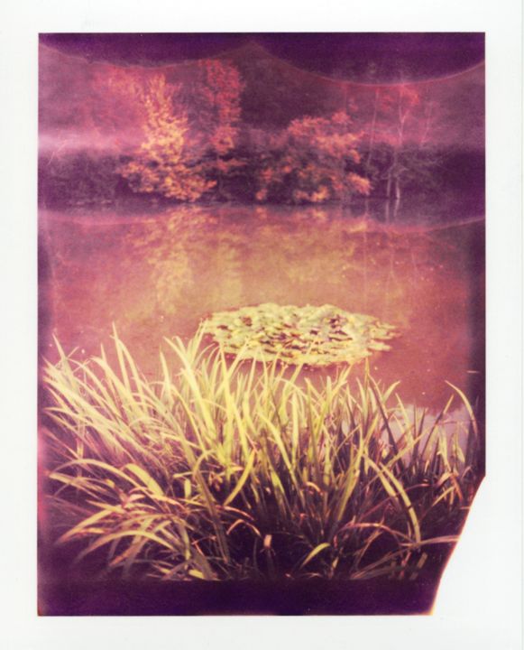 Photography titled "Polaroid12" by Michal Vojkuvka, Original Art, Analog photography