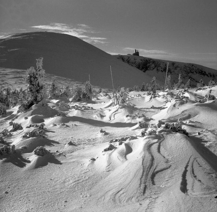 「winter time 1」というタイトルの写真撮影 Michal Vojkuvkaによって, オリジナルのアートワーク, アナログ写真