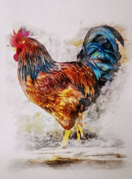 Dibujo titulada "Rooster" por Michał Stetkiewicz, Obra de arte original, Pastel