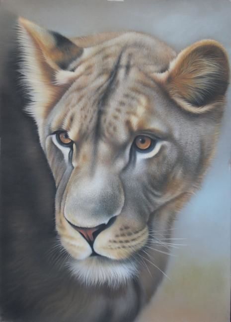 Peinture intitulée "La Lionne à l'affut" par Christian Michaut, Œuvre d'art originale, Huile