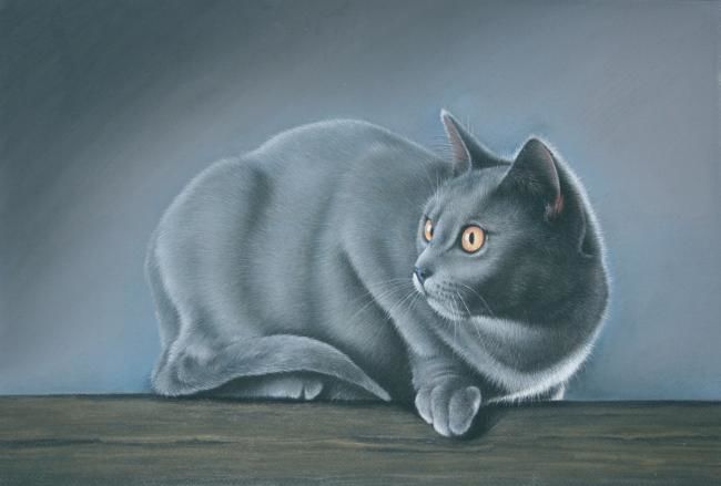 Peinture intitulée "Le Chat à l'affut" par Christian Michaut, Œuvre d'art originale, Huile