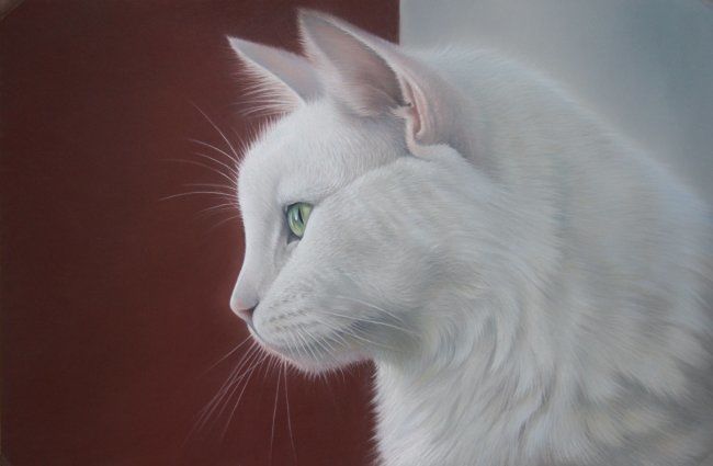 Mac Le Chat Blanc De Profil Peinture Par Christian Michaut Artmajeur