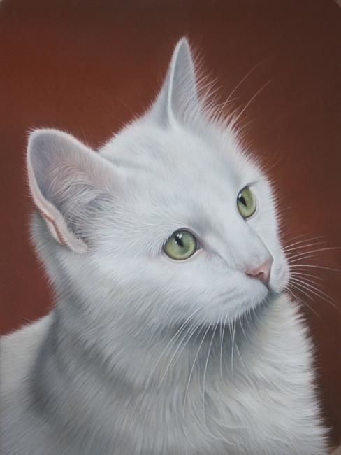 Peinture intitulée "Mac, Le Chat Blanc" par Christian Michaut, Œuvre d'art originale, Huile