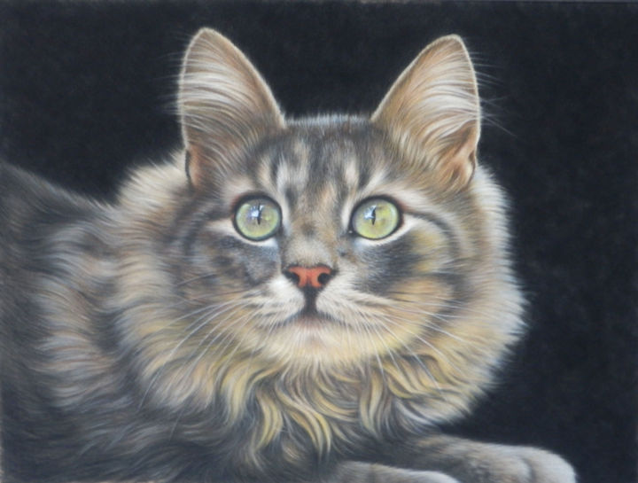 Peinture intitulée "Murat, le chat aux…" par Christian Michaut, Œuvre d'art originale