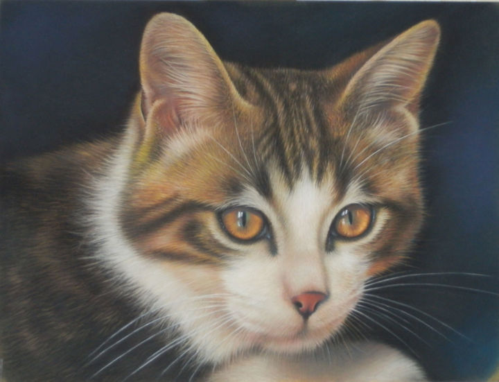 Peinture intitulée "Milos, le chat atte…" par Christian Michaut, Œuvre d'art originale