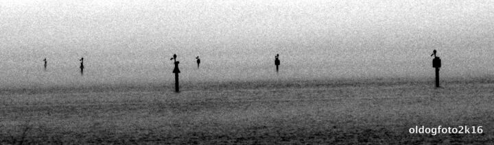Photographie intitulée "Sentinels.jpg" par Micheal Driscoll, Œuvre d'art originale, Autre