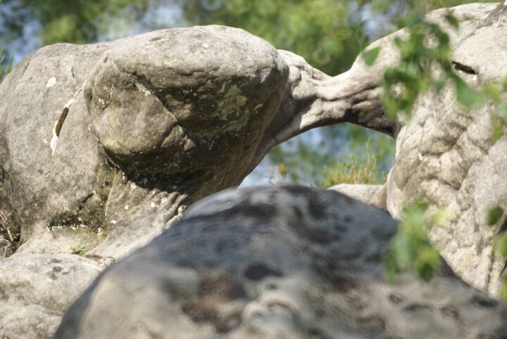 Φωτογραφία με τίτλο "Forêt d'Ermenonvill…" από Michel Audebert, Αυθεντικά έργα τέχνης, Ψηφιακή φωτογραφία