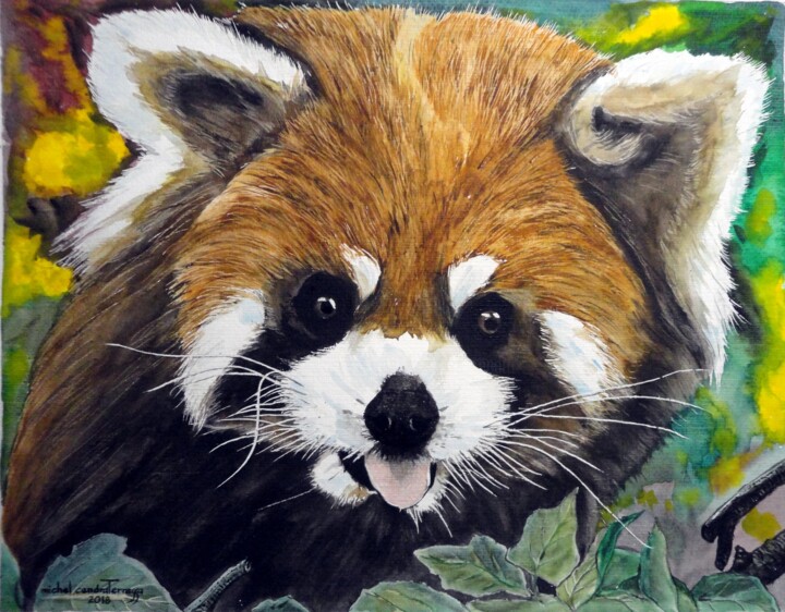 Peinture intitulée "PANDA  ROUX" par Michel Cendra-Terrassa, Œuvre d'art originale, Aquarelle