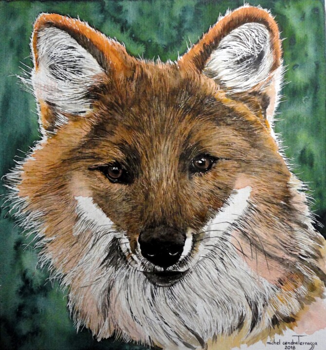 Painting titled "DHOLE 2" by Michel Cendra-Terrassa, Original Artwork, Watercolor