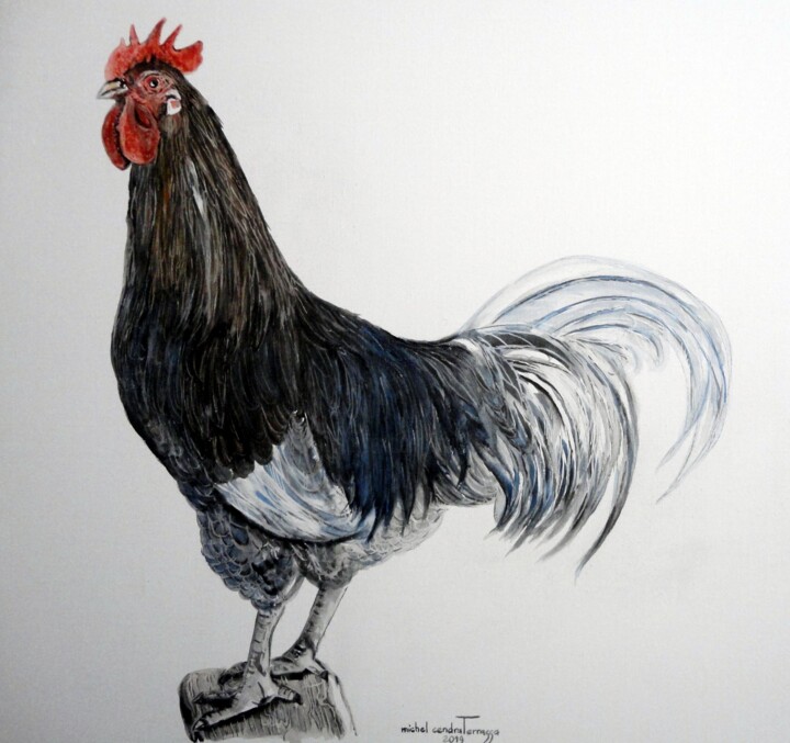 Peinture intitulée "COQ  DE  PÊCHE  COR…" par Michel Cendra-Terrassa, Œuvre d'art originale, Aquarelle