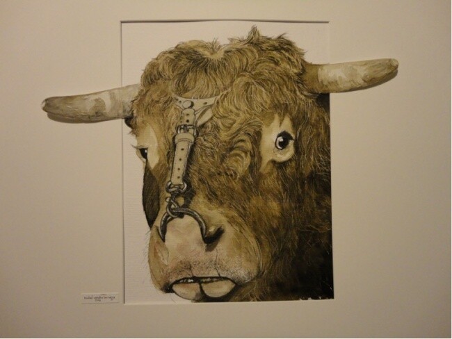 Pintura titulada "TAUREAU LIMOUSIN..." por Michel Cendra-Terrassa, Obra de arte original