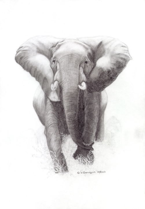 Drawing titled "254 - Eléphant" by Le Dessineux, Original Artwork