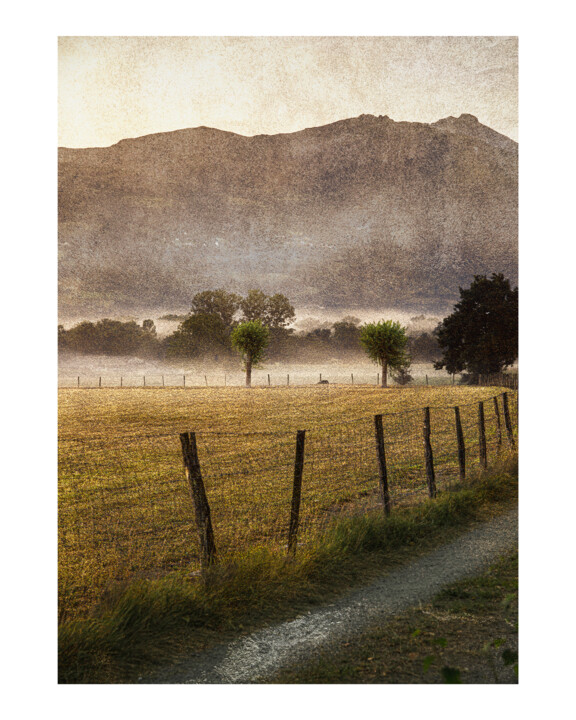 Fotografia zatytułowany „Matin brumeux” autorstwa Michel Daumergue, Oryginalna praca, Fotografia cyfrowa