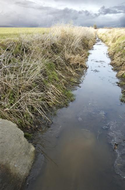 Photographie intitulée "Ruisseau" par Michel Galand, Œuvre d'art originale