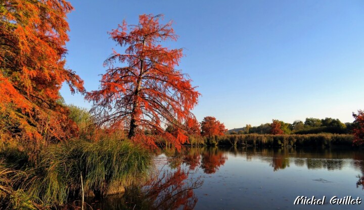 Fotografie getiteld "Etang de Boulieu en…" door Michel Guillet, Origineel Kunstwerk