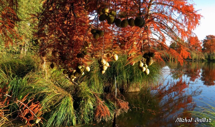 Photography titled "Etang de Boulieu en…" by Michel Guillet, Original Artwork