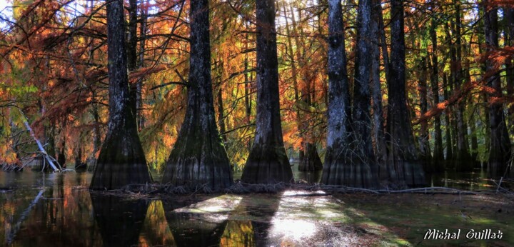 Photographie intitulée "Etang de Boulieu en…" par Michel Guillet, Œuvre d'art originale