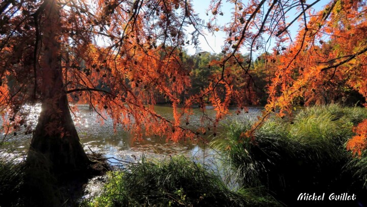 Photography titled "Etang de Boulieu en…" by Michel Guillet, Original Artwork