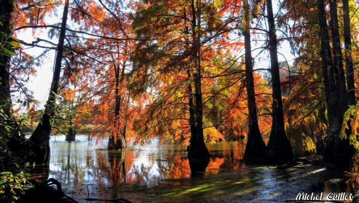 Photographie intitulée "Etang de Boulieu en…" par Michel Guillet, Œuvre d'art originale