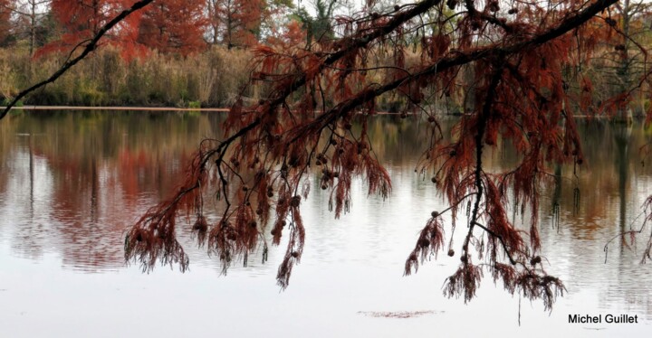 Photographie intitulée "Etang de Boulieu en…" par Michel Guillet, Œuvre d'art originale