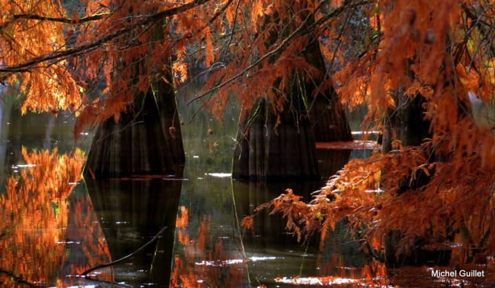 Photographie intitulée "Etang de Boulieu en…" par Michel Guillet, Œuvre d'art originale