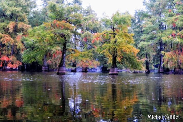 Photographie intitulée "Prémices d'Automne…" par Michel Guillet, Œuvre d'art originale