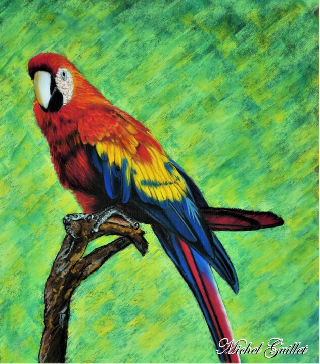 Dessin intitulée "L'ara macao rouge." par Michel Guillet, Œuvre d'art originale, Pastel