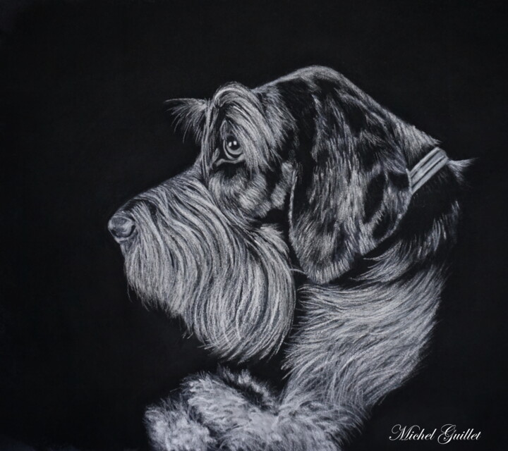 Drawing titled "Niels the Griff" by Michel Guillet, Original Artwork, Pastel