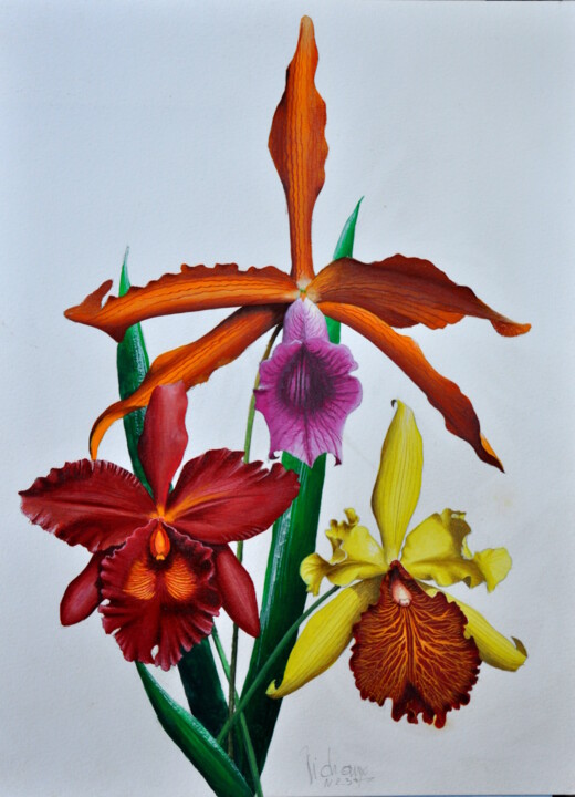 Картина под названием "ORCHIDEES" - Michel Michaux, Подлинное произведение искусства, Масло