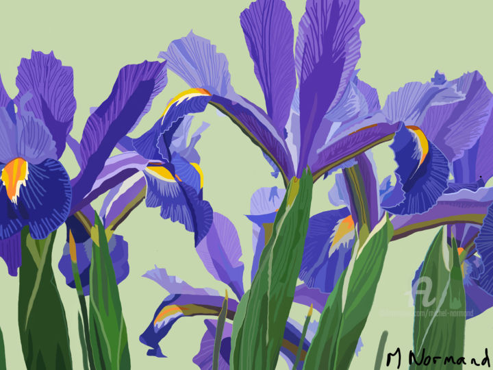 Arts numériques intitulée "2015-07-21 Iris.jpg" par Michel Normand, Œuvre d'art originale, Peinture numérique