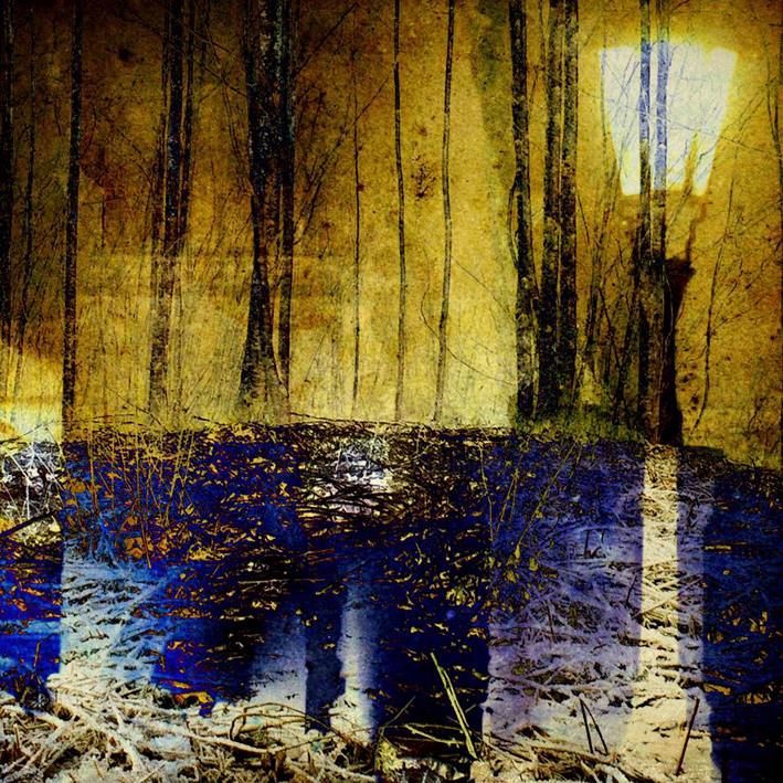 Digital Arts titled "Sous-bois.jpg" by Michel Staumont, Original Art, Photo Montage