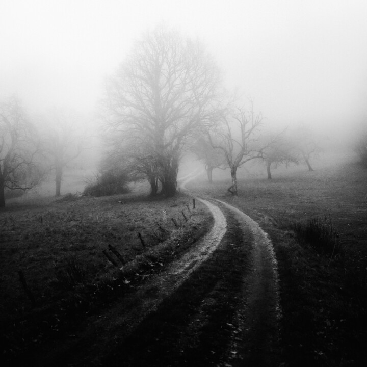 Fotografia zatytułowany „Eternel Chemin” autorstwa Michel Tavella (INDIGO), Oryginalna praca, Fotografia cyfrowa