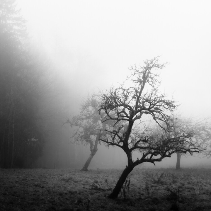 Fotografia zatytułowany „Deux Biais” autorstwa Michel Tavella (INDIGO), Oryginalna praca, Fotografia cyfrowa