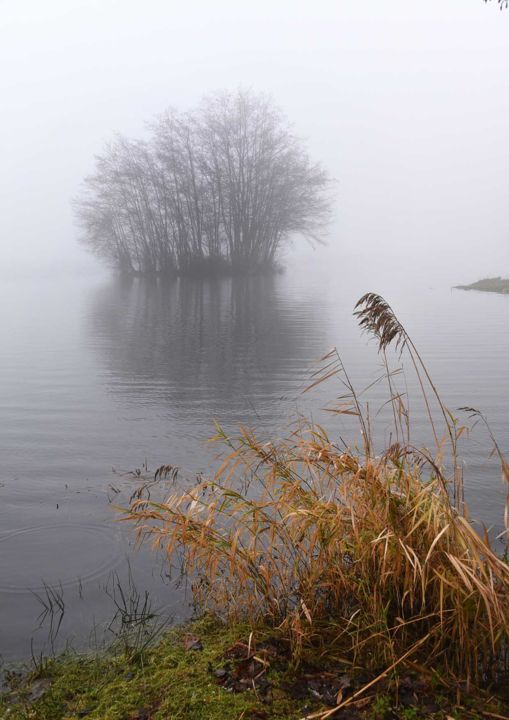 Fotografie mit dem Titel "SAISONS EN BOURGOGN…" von Michel Volle, Original-Kunstwerk, Digitale Fotografie Auf Karton montiert