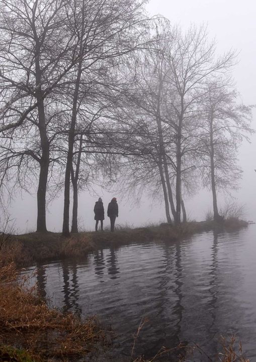 Fotografie mit dem Titel "HIVER BRUMEUX EN BO…" von Michel Volle, Original-Kunstwerk, Digitale Fotografie Auf Karton montiert