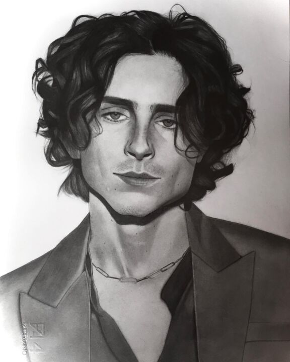 Zeichnungen mit dem Titel "Timothee Chalamet" von Michela Vincenzo, Original-Kunstwerk, Bleistift