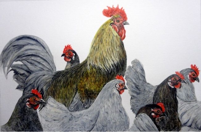 Le Poulailler Painting By Michel Cendra Terrassa Artmajeur