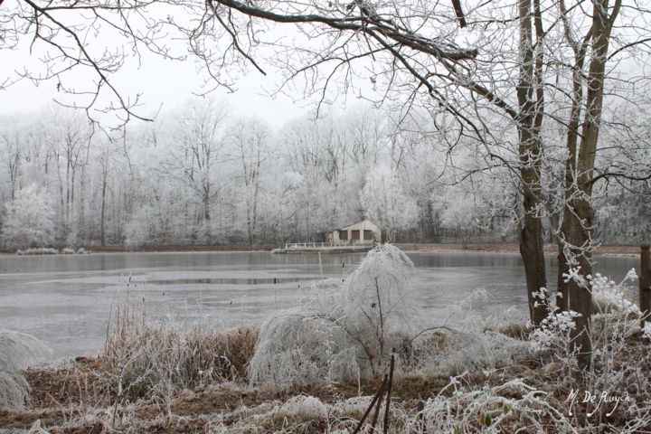 Photography titled "Givre à la mare de…" by Michel De Ruyck, Original Artwork, Digital Photography