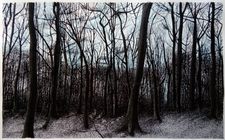 Pintura titulada "Après midi d'hiver…" por Michèle Caranove, Obra de arte original, Tinta