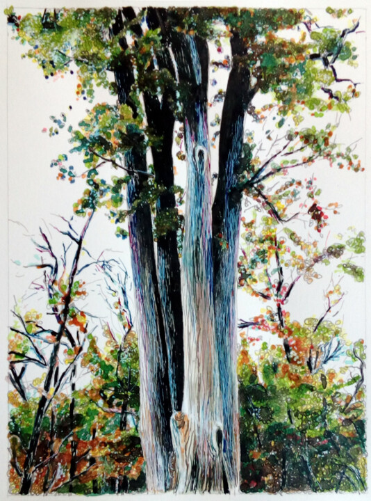 Peinture intitulée "Chêne de la Charte/…" par Michèle Caranove, Œuvre d'art originale, Encre