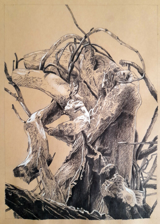 Drawing,  19.7x15.8 in 